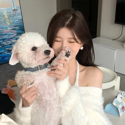 爱情青春